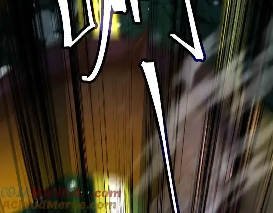 133.jpg