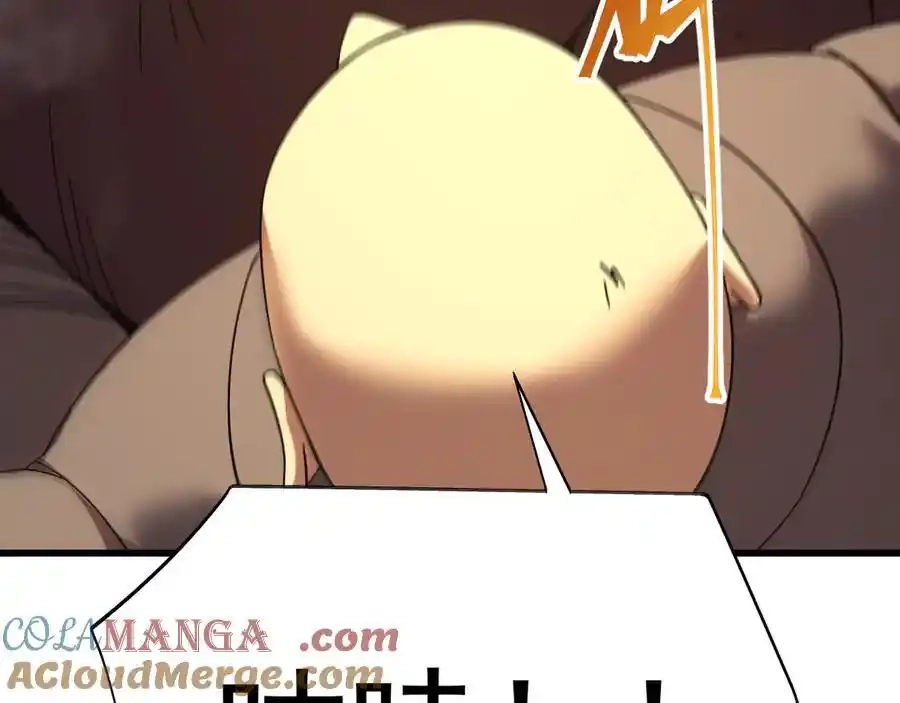201.jpg