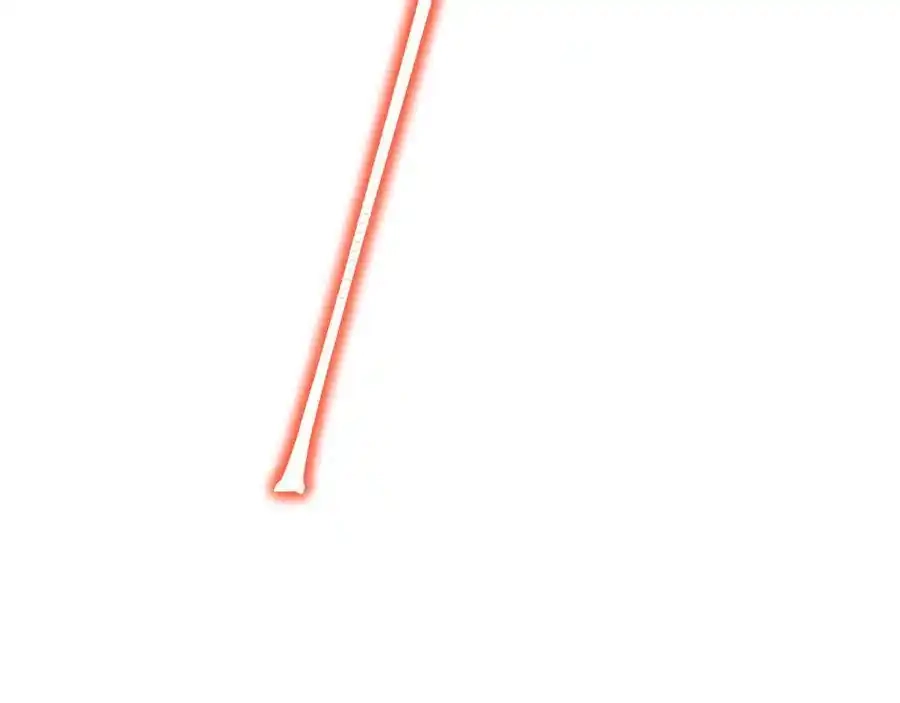 154.jpg