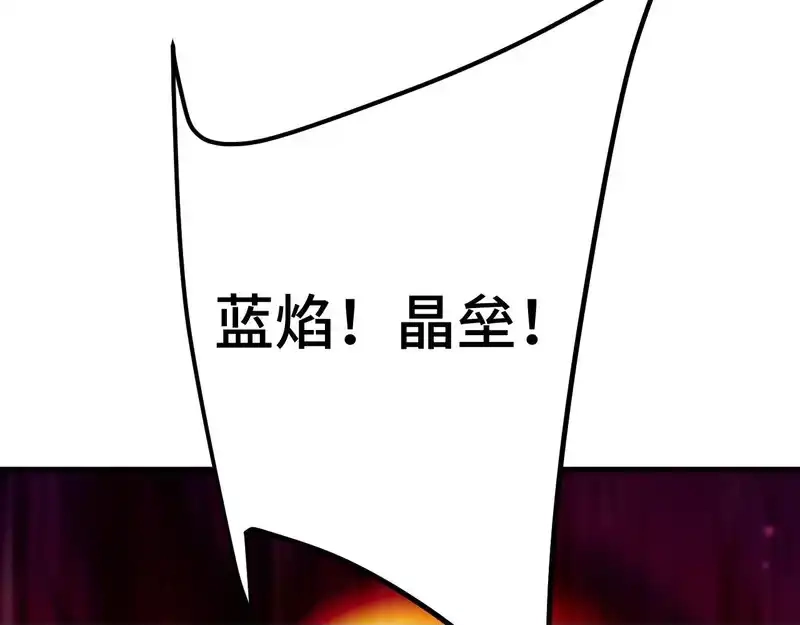 113.jpg