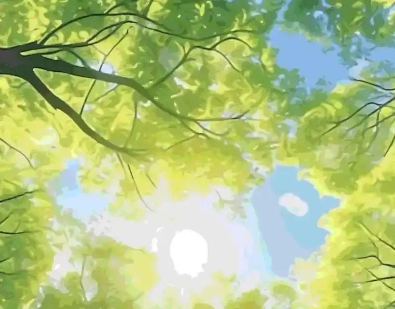149.jpg