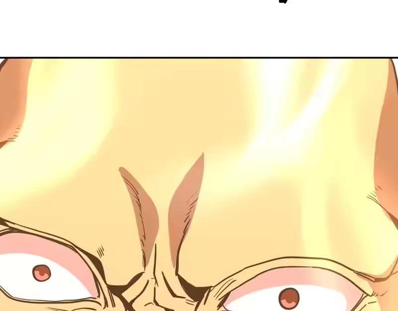 74.jpg