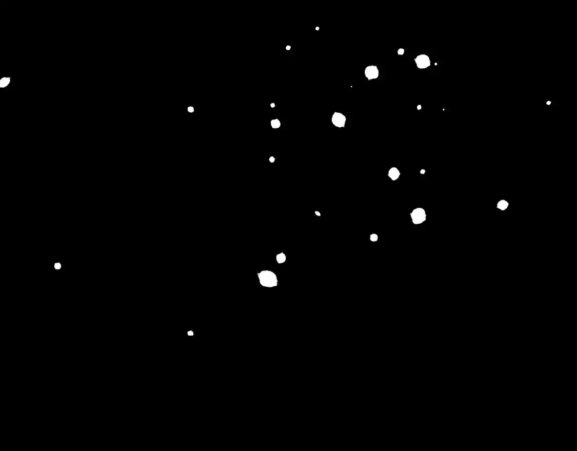 113.jpg