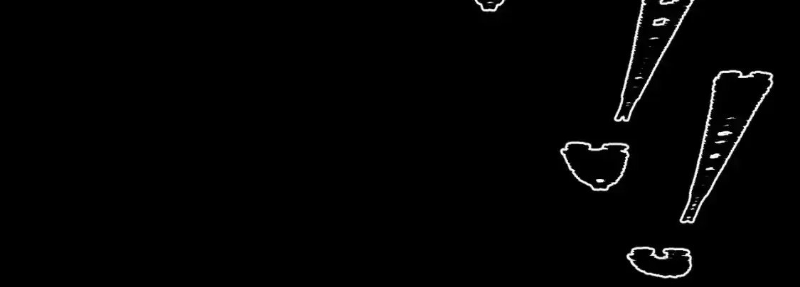 73.jpg