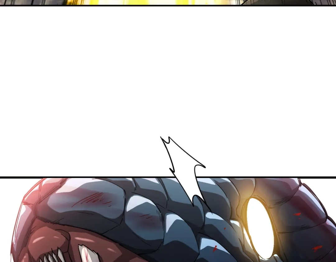 64.jpg