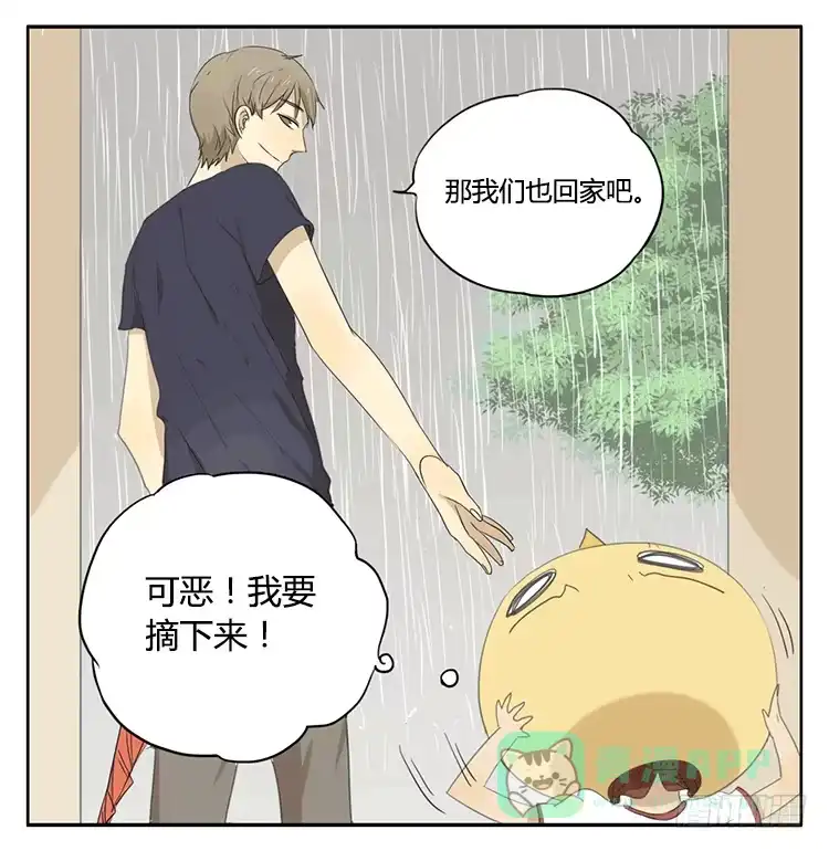 《哥哥是大笨蛋》报复 第1页