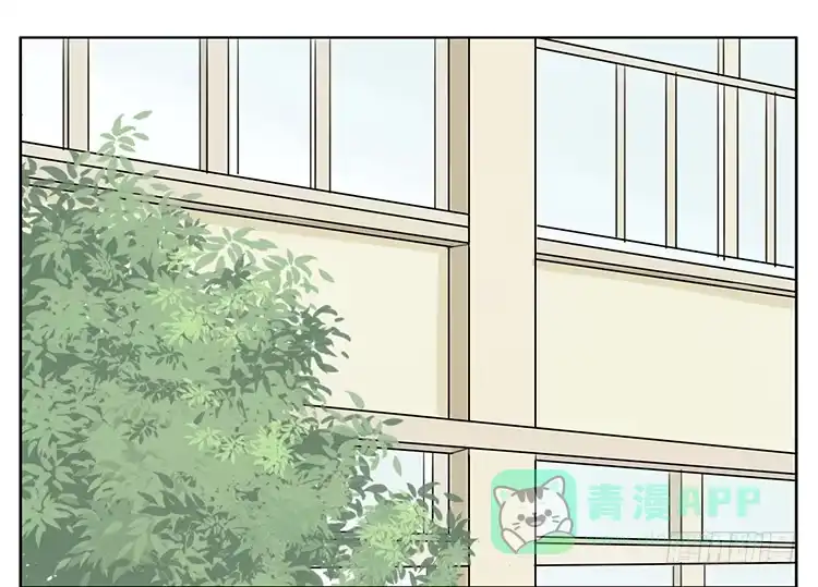 《哥哥是大笨蛋》疗法 第1页
