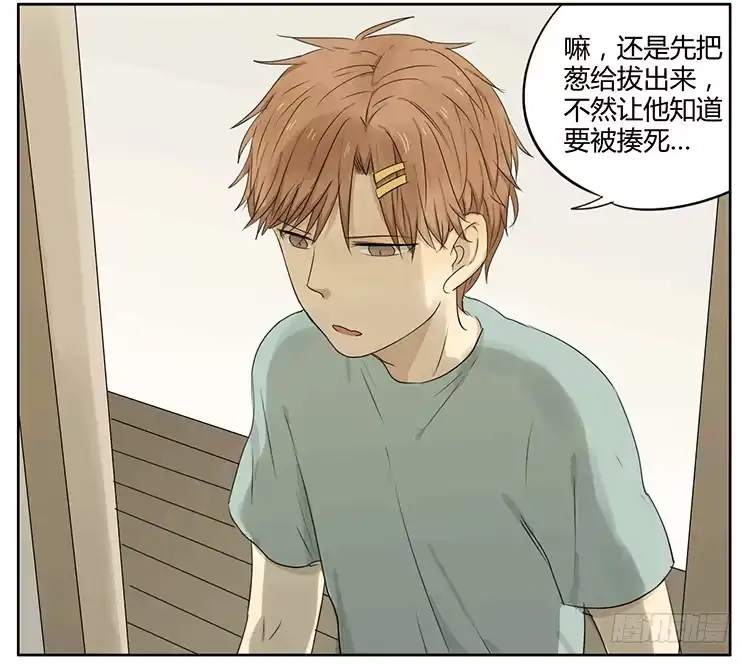 《哥哥是大笨蛋》哥哥醒了 第14页