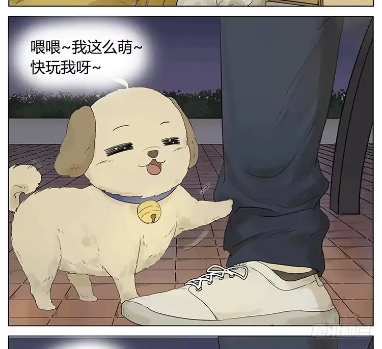 《哥哥是大笨蛋》遛狗遛出了意外 第7页