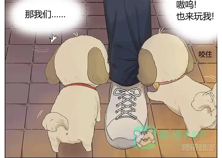 《哥哥是大笨蛋》遛狗遛出了意外 第11页