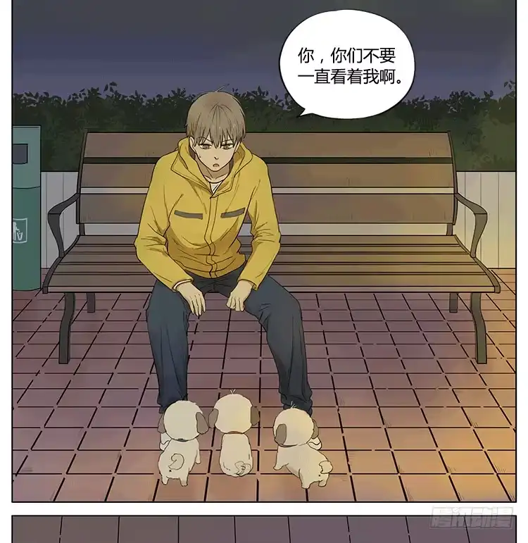 《哥哥是大笨蛋》遛狗遛出了意外 第4页