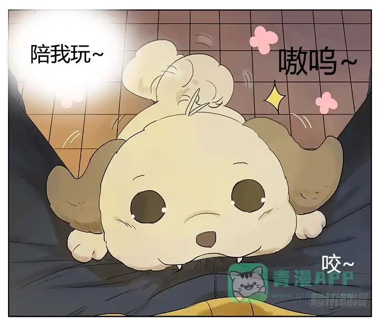 《哥哥是大笨蛋》遛狗遛出了意外 第16页