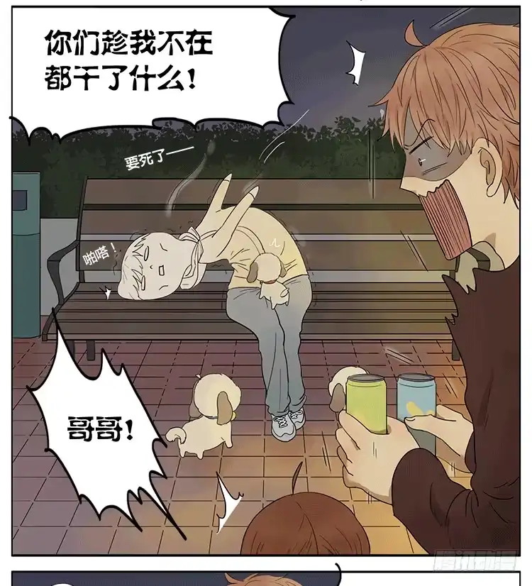 《哥哥是大笨蛋》遛狗遛出了意外 第20页