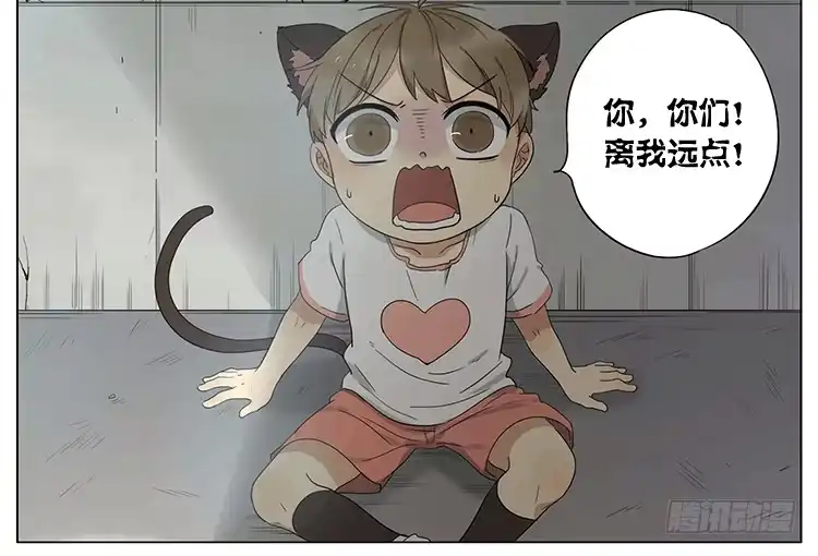 《哥哥是大笨蛋》小猫咪你别逃~ 第15页
