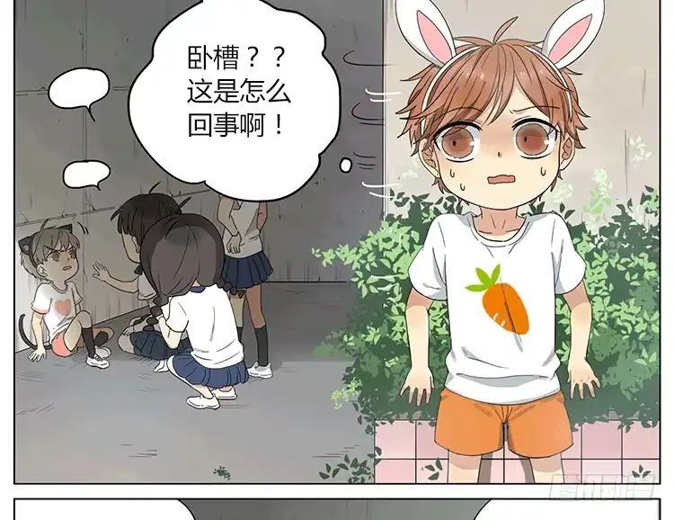 《哥哥是大笨蛋》小猫咪你别逃~ 第13页