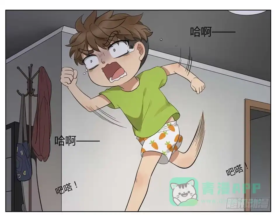 《哥哥是大笨蛋》有蟑螂！ 第1页