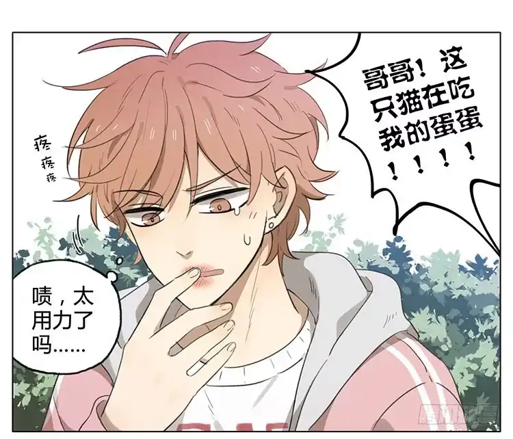 《哥哥是大笨蛋》烧烤 第13页