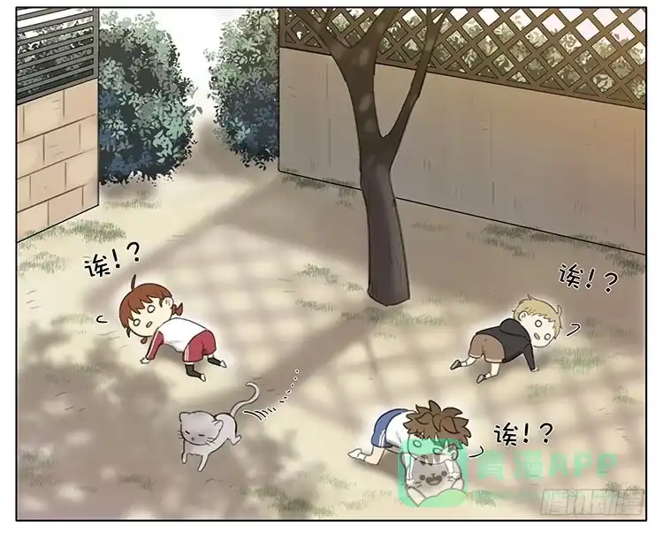 《哥哥是大笨蛋》小猫 第16页