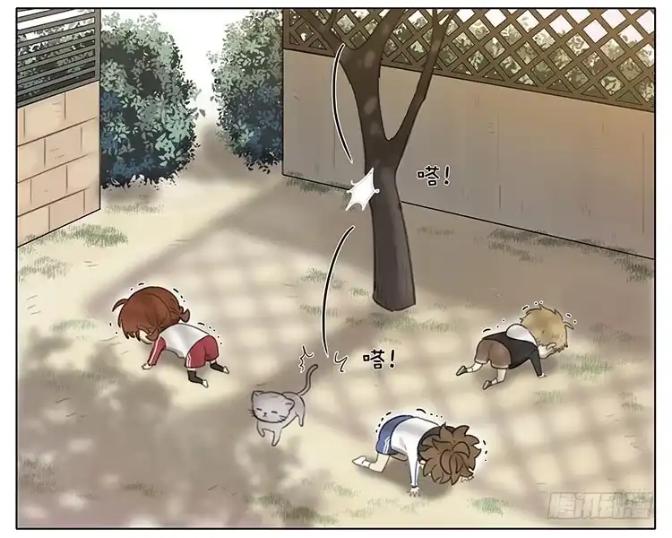 《哥哥是大笨蛋》小猫 第15页