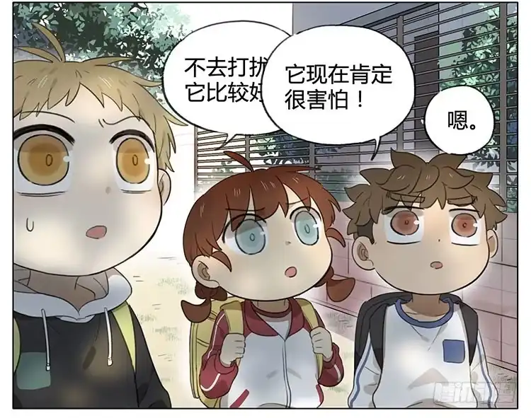《哥哥是大笨蛋》小猫 第5页