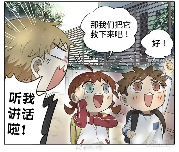 《哥哥是大笨蛋》小猫 第7页