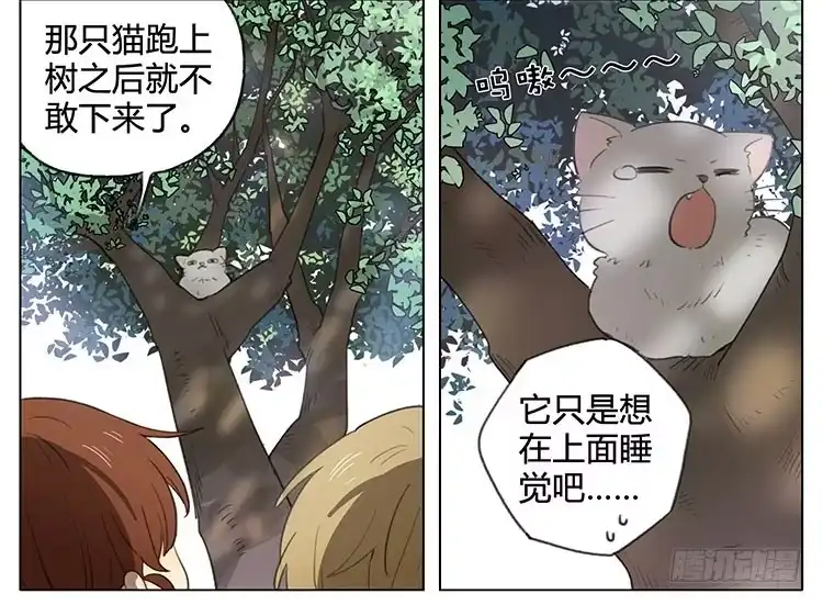 《哥哥是大笨蛋》小猫 第4页
