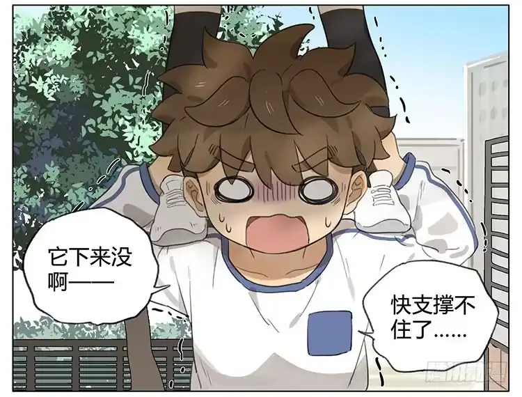 《哥哥是大笨蛋》小猫 第9页