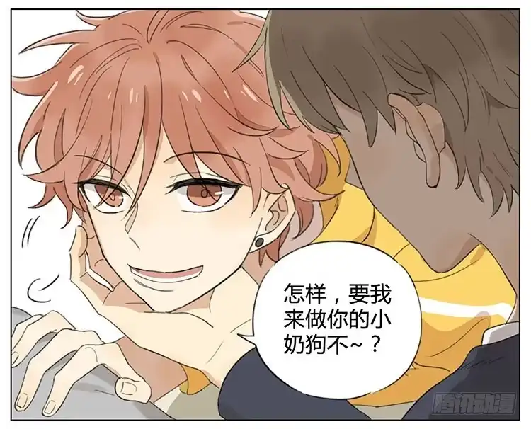 《哥哥是大笨蛋》召唤小奶狗 第17页