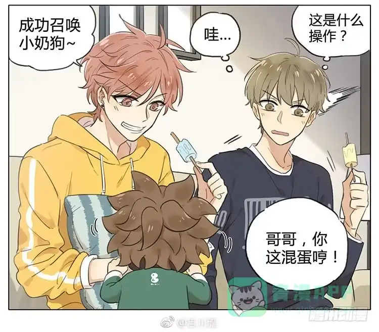 《哥哥是大笨蛋》召唤小奶狗 第6页