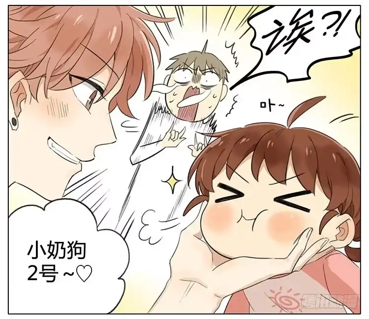 《哥哥是大笨蛋》召唤小奶狗 第15页