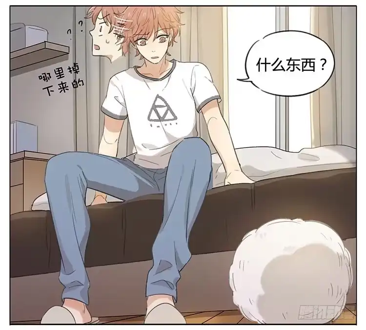 《哥哥是大笨蛋》毛绒球 第5页