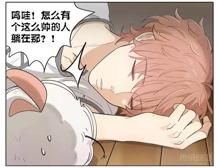《哥哥是大笨蛋》毛绒球 第14页