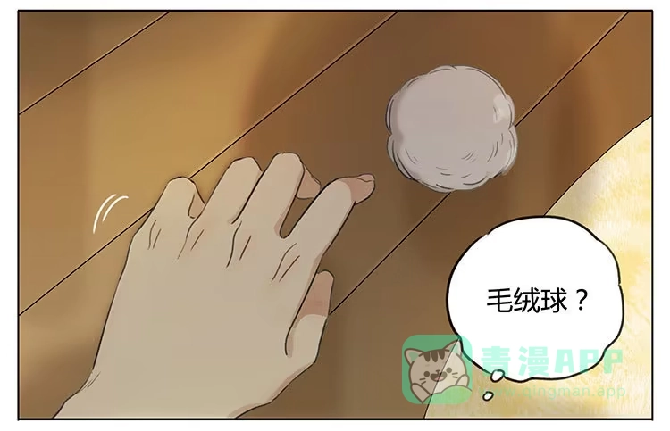 《哥哥是大笨蛋》毛绒球 第6页
