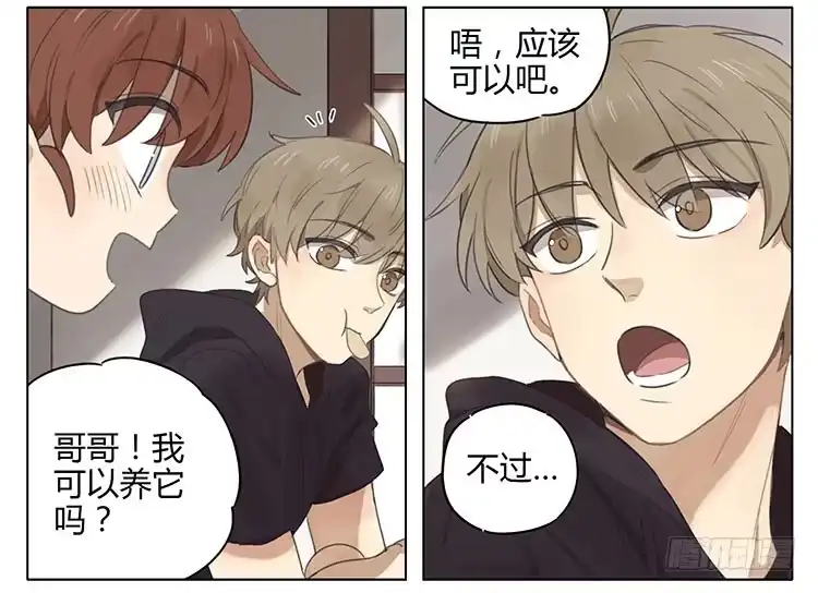 《哥哥是大笨蛋》不好惹 第4页