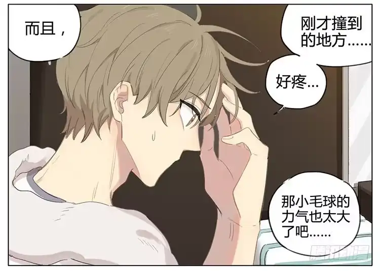 《哥哥是大笨蛋》传说中的驱蚊液 第2页