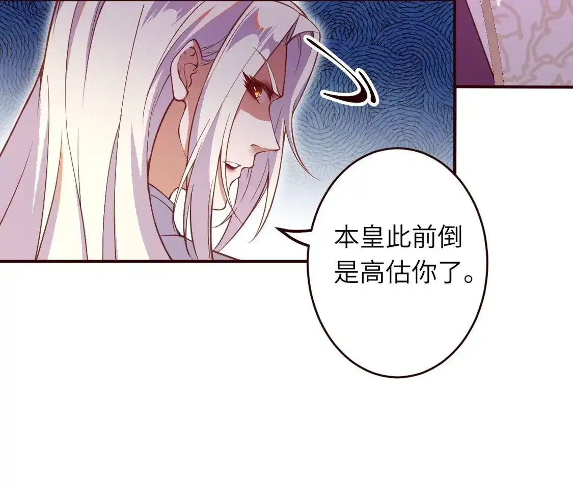 65.jpg