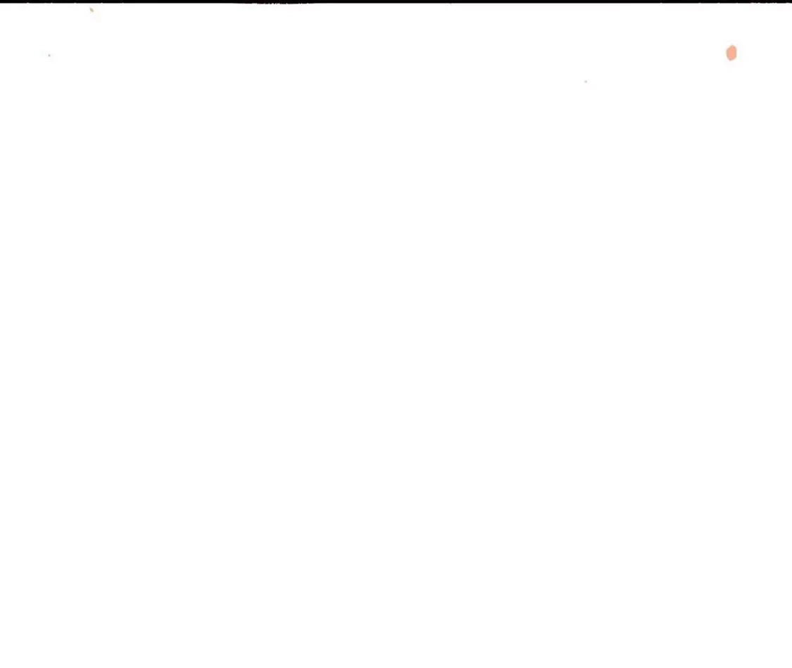 139.jpg