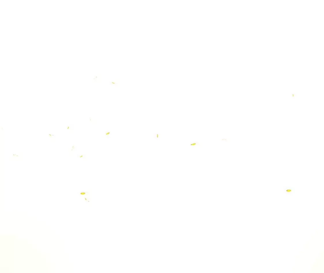 184.jpg