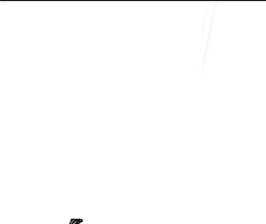 63.jpg