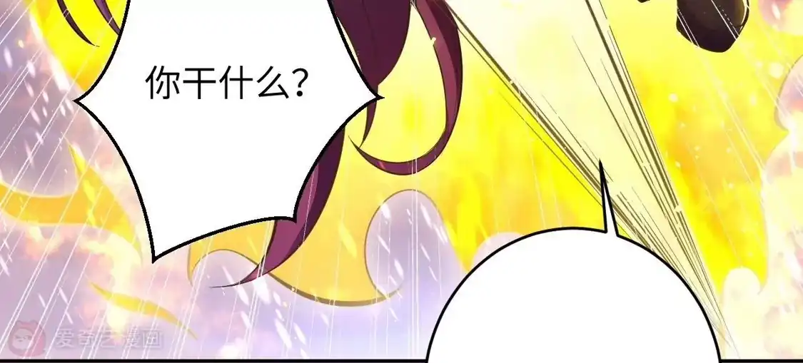 204.jpg