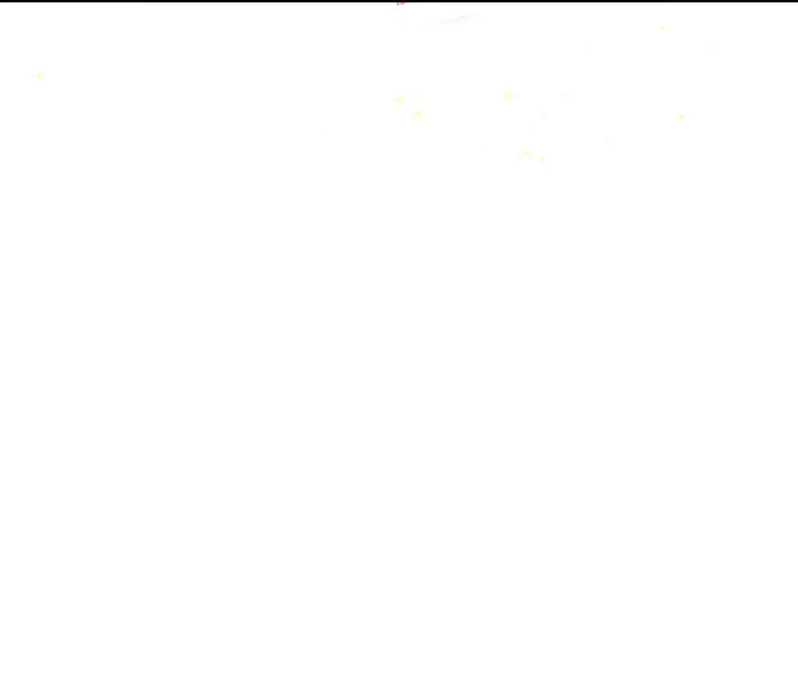 219.jpg