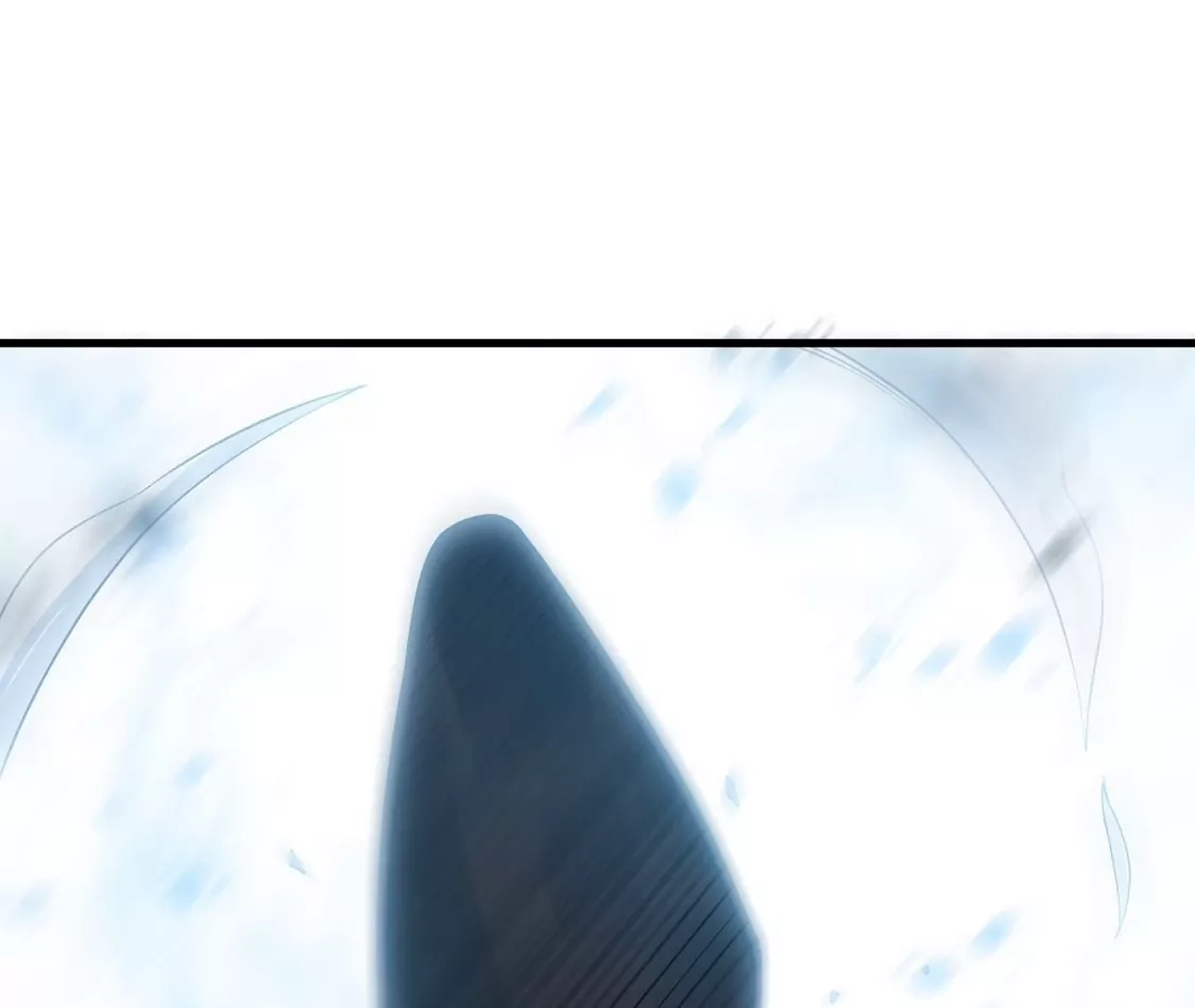 137.jpg