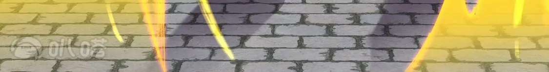 113.jpg