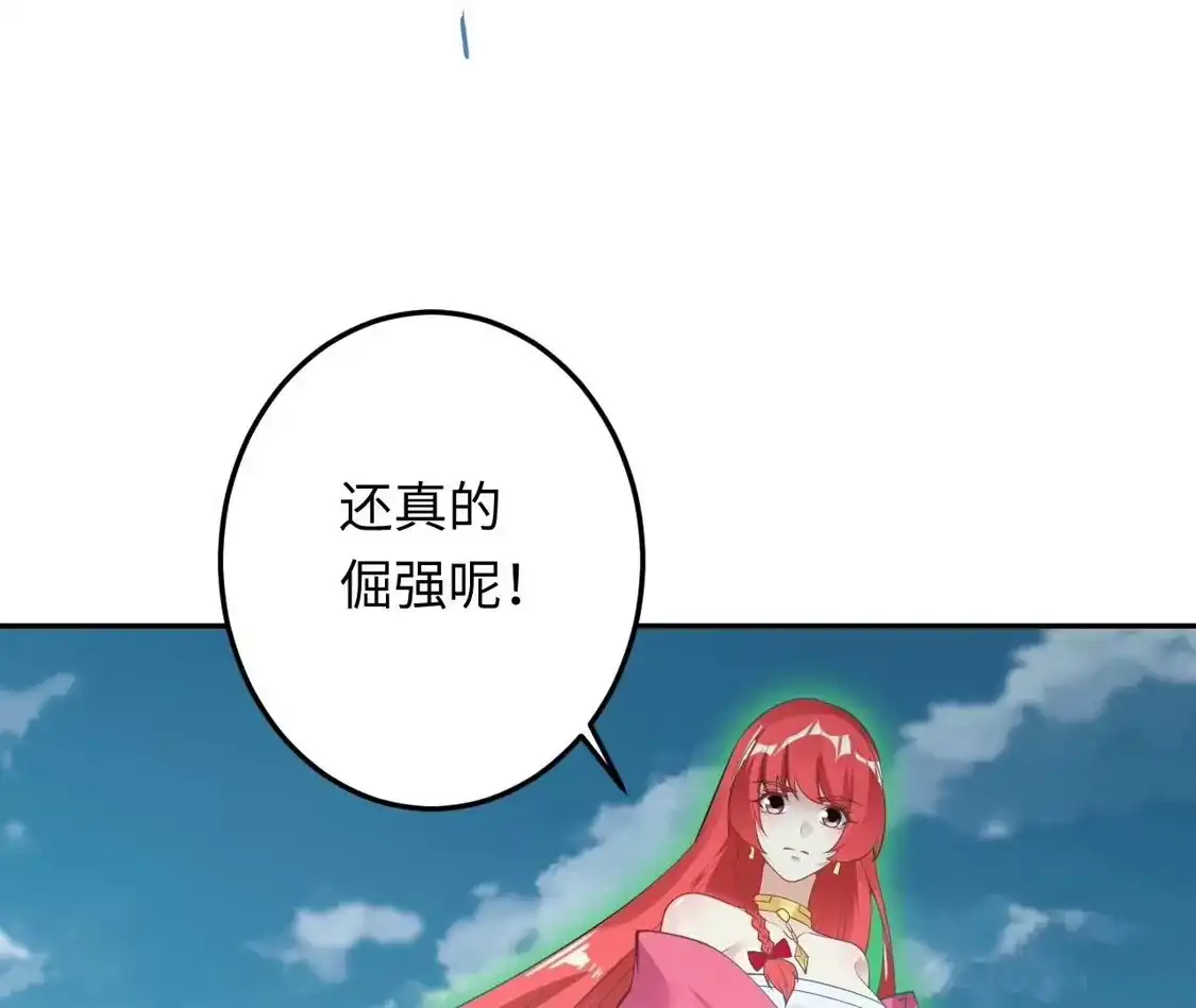 205.jpg