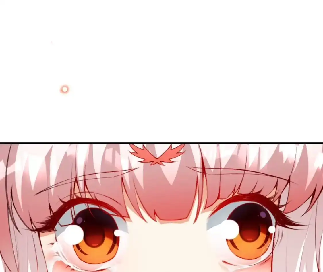 163.jpg