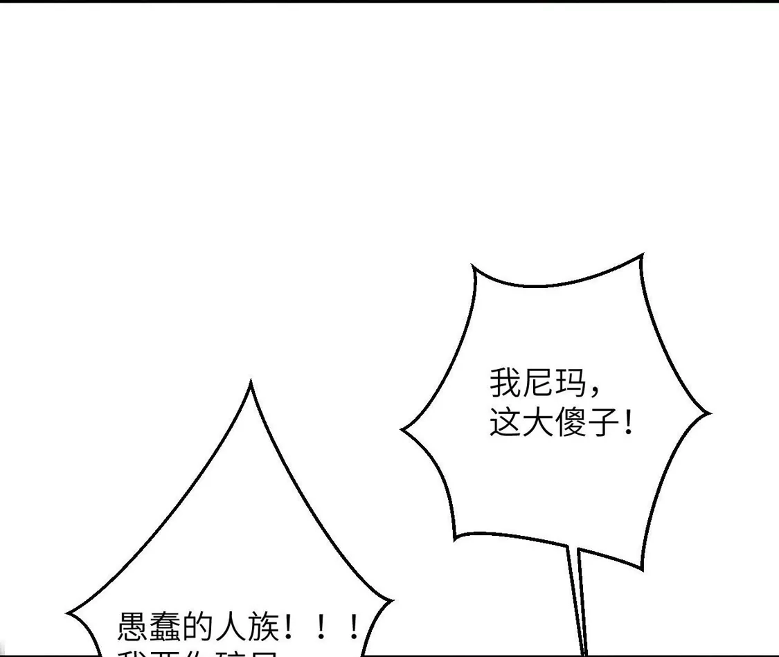 113.jpg