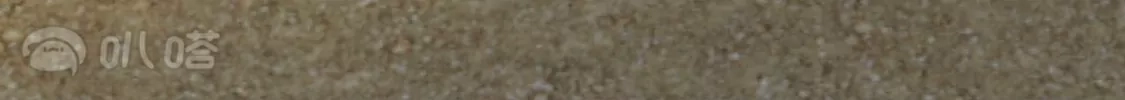 69.jpg