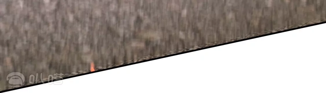 72.jpg