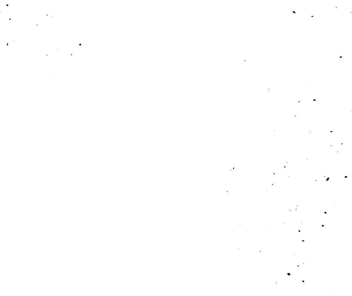 131.jpg