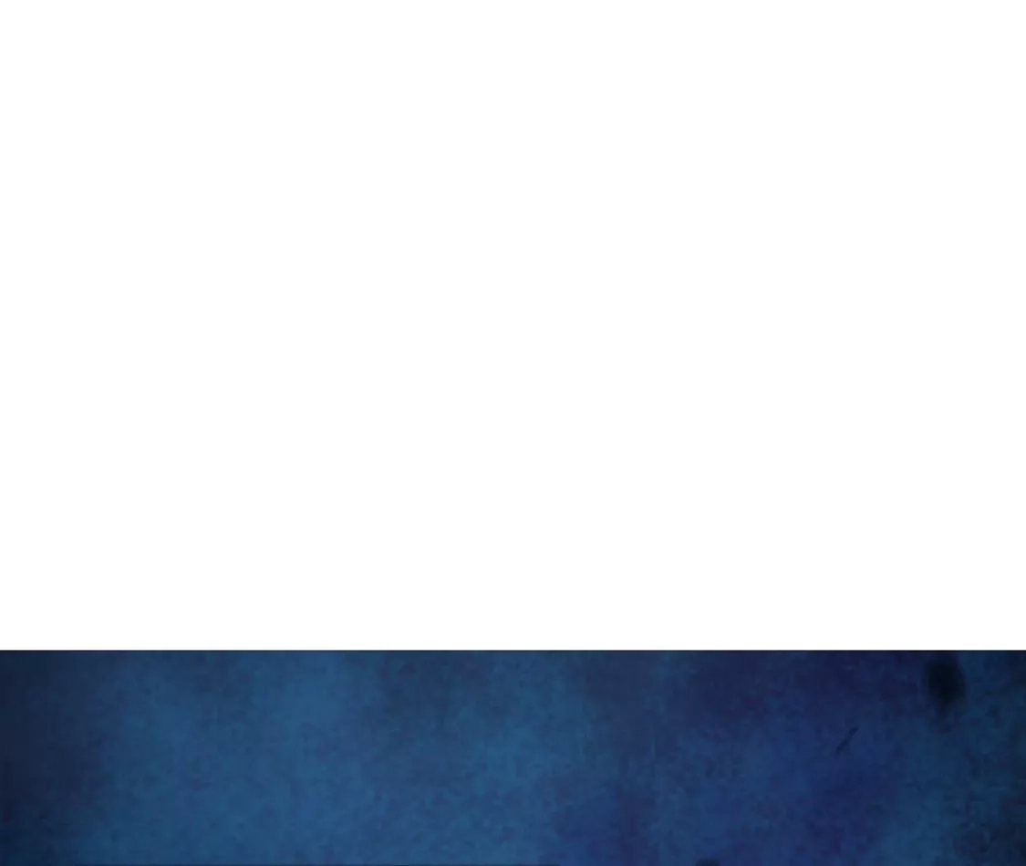 95.jpg